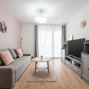 Appartement met een Slaapkamer